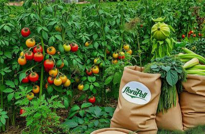 floraPell Schafwollpellets – Zertifizierter Bio-Dünger für nachhaltige Landwirtschaft